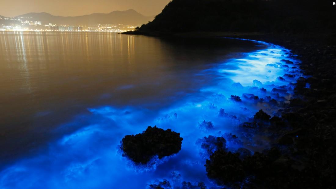 cnni's tweet photo. A strange blue shimmer is lighting up the Hong Kong coast... http://t.co/JBznLdEsbj http://t.co/Rdir8df2ET