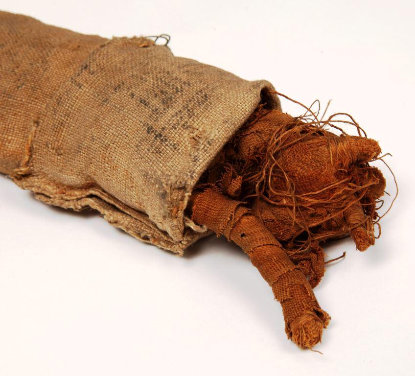 EgyptMcr's tweet photo. Cat mummy, with individually formed limbs and 'bag', recently studied by @AEBioBank #AnimalMummies #MewseumMonday http://t.co/vWKhlGcVPY
