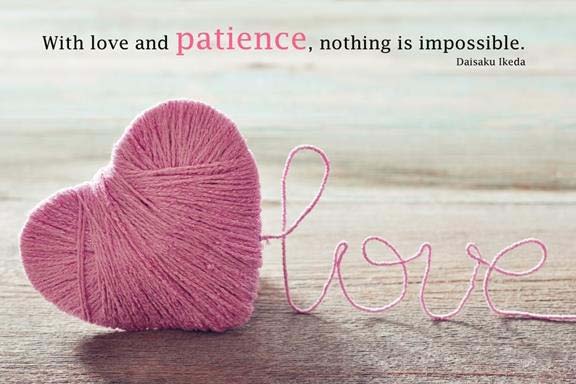 HelpAsh's tweet image. ~With love and patience, nothing is impossible~Daisaku Ikeda