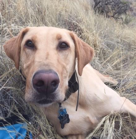 Embedded image permalink