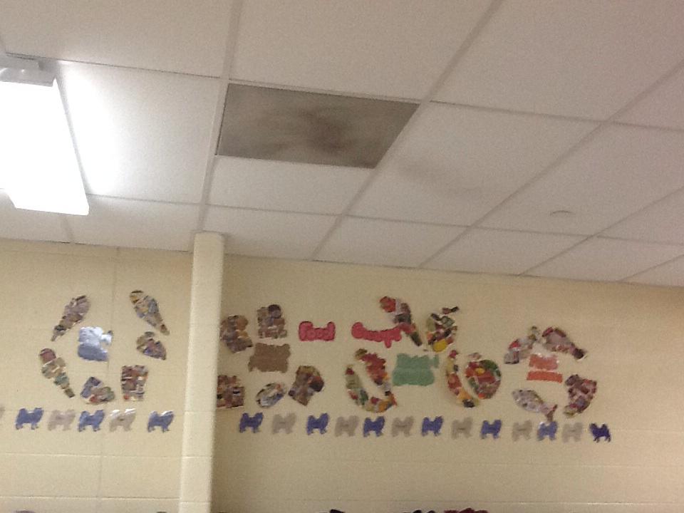 1B learns about their 4 food groups