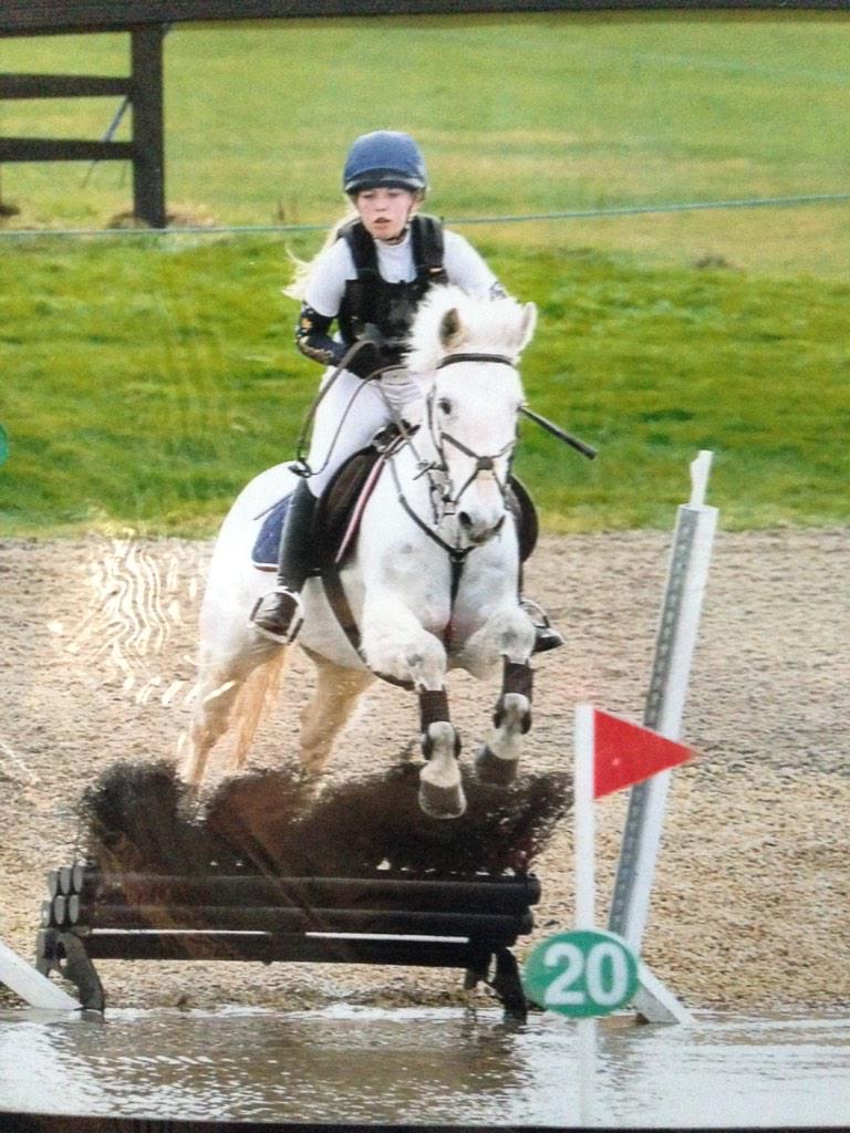 aliciaalegg's tweet photo. #arenaeventing @ValeviewEC #valeview http://t.co/yeMwNCHaO0