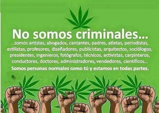 LegalizaColima's tweet photo. Somos artistas, abogados, atletas, profesores, presidentes, ingenieros, científicos... http://t.co/VAIzXgD0vn