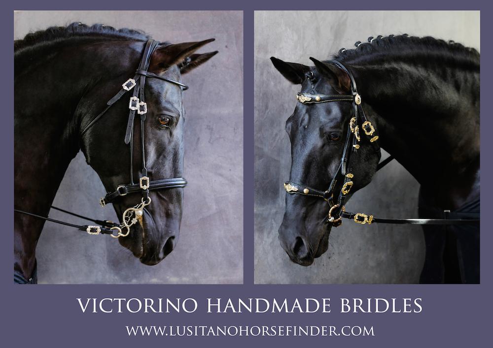 LusitanoHF's tweet photo. Some of the Exclusive bridle range we have to offer. See the full range and to order yours at http://t.co/ClPjlflZeZ http://t.co/6muN31iwdH