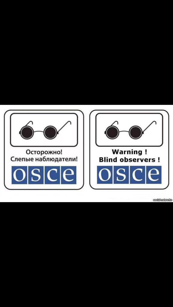BrAlmaz's tweet image. @zavvp @OSCE