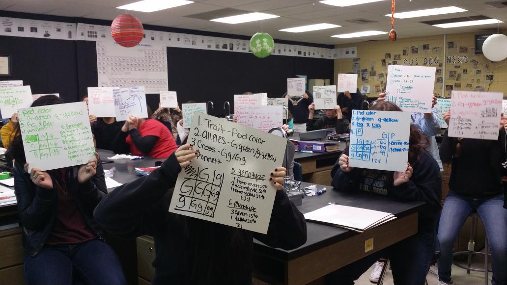 longhornteacher's tweet photo. Bio get ready to be a Board Heads we r using the dryerase board to wk Punnett problems today #MakeLearningInteractive http://t.co/A7173qE0W4