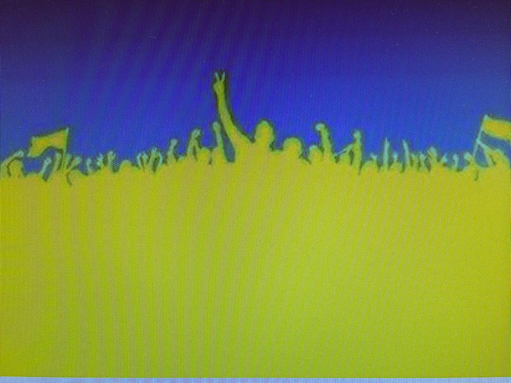 Button_Crafter's tweet image. #freesavchenko