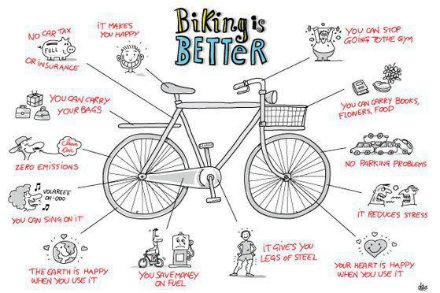 healthybrum's tweet photo. We like this infographic from @SCPHRP: 13 reasons why #cycling is better #physicalactivity http://t.co/eL3k9T8Kl8