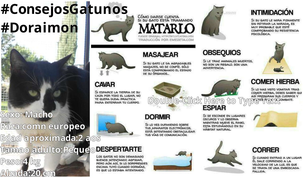 Como saber si estoy en cetosis tiras de lignodi Como saber si estoy en cetosis tiras de lignodi