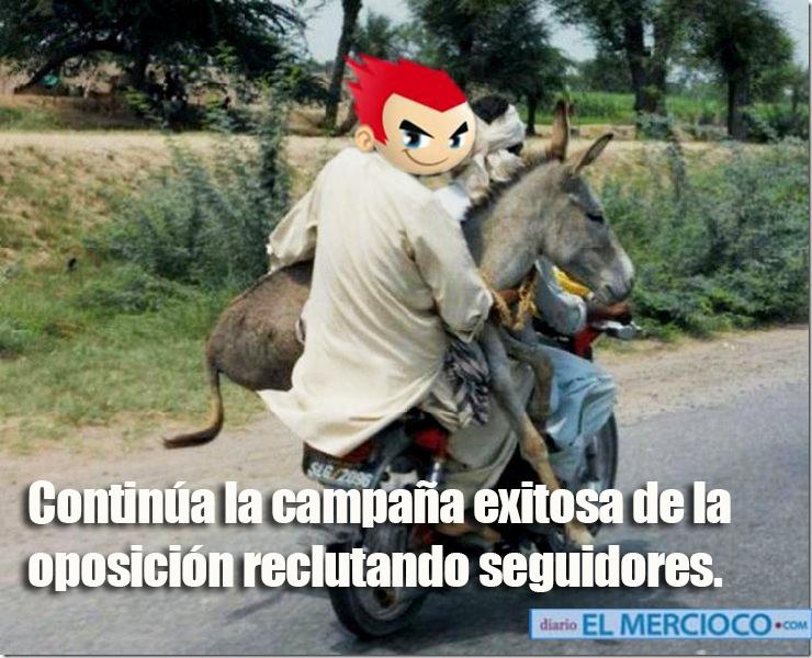salserioscuenca's tweet photo. @erfa87 @MayeCartOz @silvitabuendia @MATEO92 @Presidencia_Ec http://t.co/SVvXEKJe5s