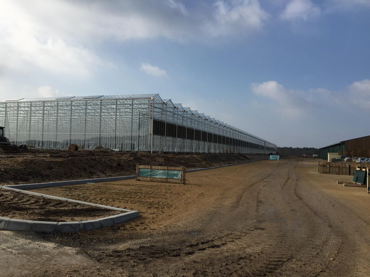 HmxProductive's tweet image. Tom D'Aqui expending in @Parentis. @HortiMaX involved in reaching the customer’s objectives! #Multima #Productive