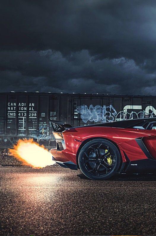 OnlyLambo's tweet image. 