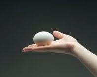 H&E Fertility Centre tweet media