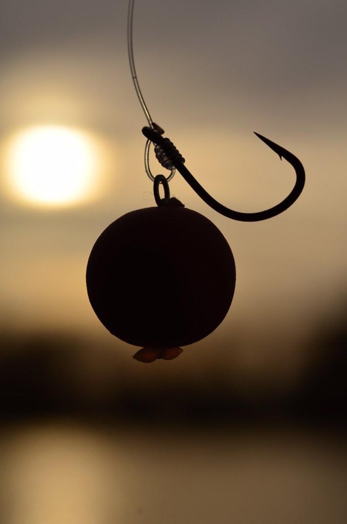 ccmoore_baits's tweet photo. These subtle coloured, sweet smelling pop-ups are perfect for chods and hinges #chodbitez - http://t.co/HP7TE0Lhv3 http://t.co/Axxx4ZIomI