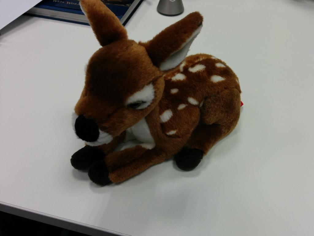 Oceloid Interactive tweet media