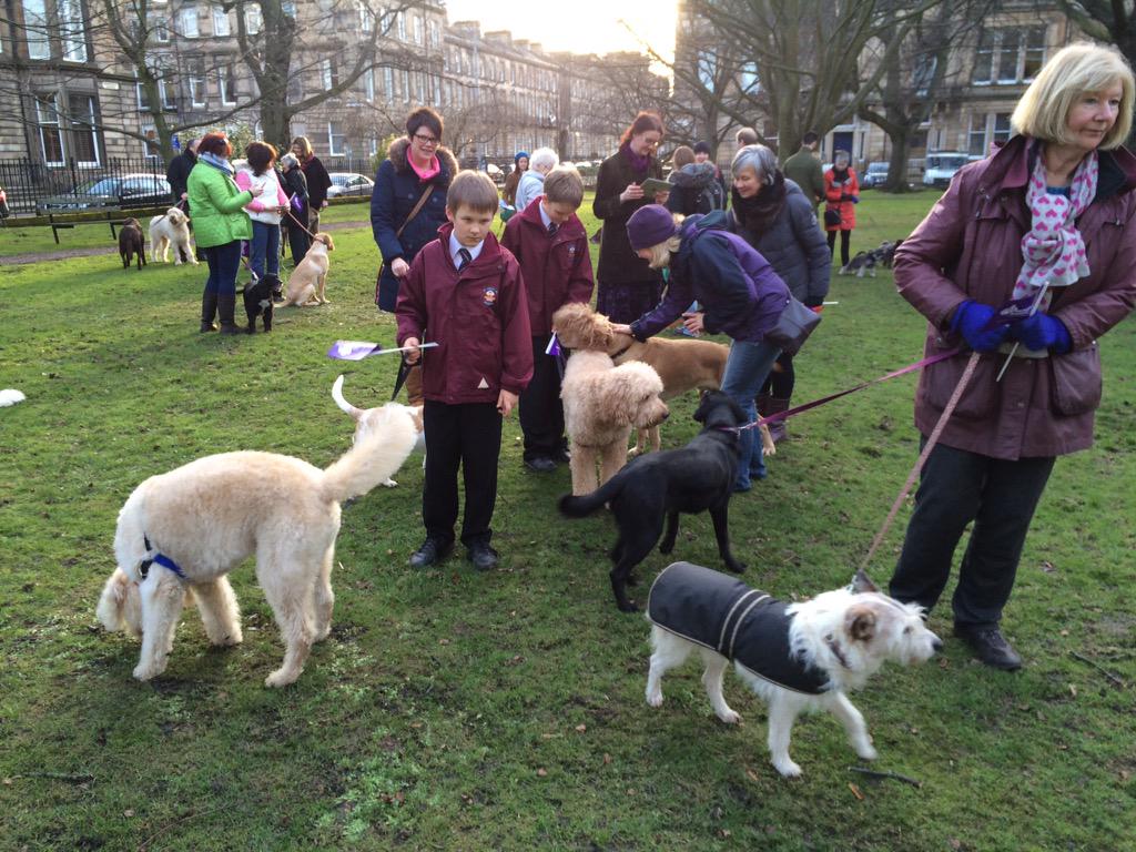 paula_frame's tweet photo. @stdavidsprimary Robert and Callum at launch of Alzheimer Scotland's Dementia Dog Appeal. #alex4paws http://t.co/sUULELONFT