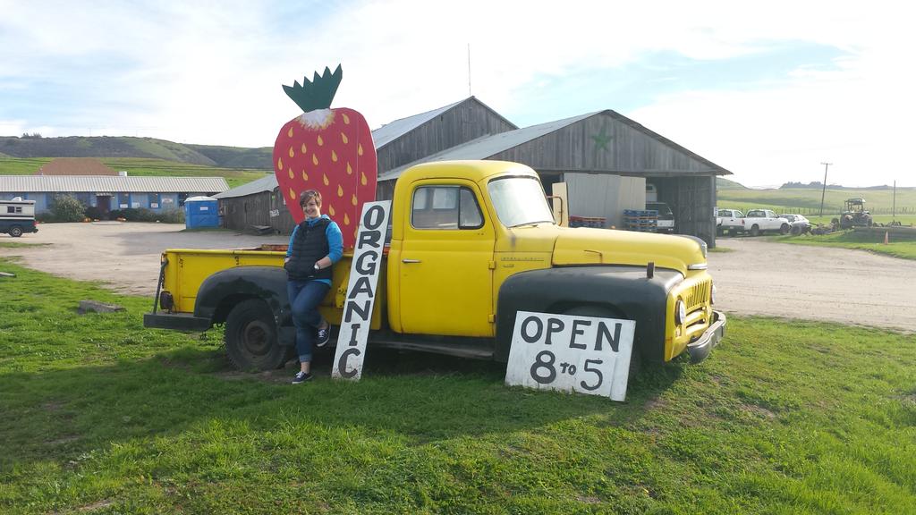 libbydoodle's tweet photo. This berry farm. Oh my. #BigSurOrBust http://t.co/nTwD6bJnzn