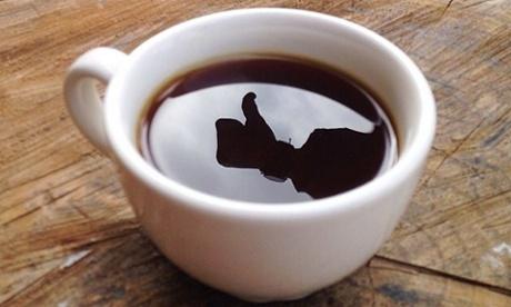 Bean_Good's tweet photo. The hipster coffee revolution is going to save your morning and the planet ... http://t.co/MMtSVDyp3O http://t.co/vlP94pSdnu