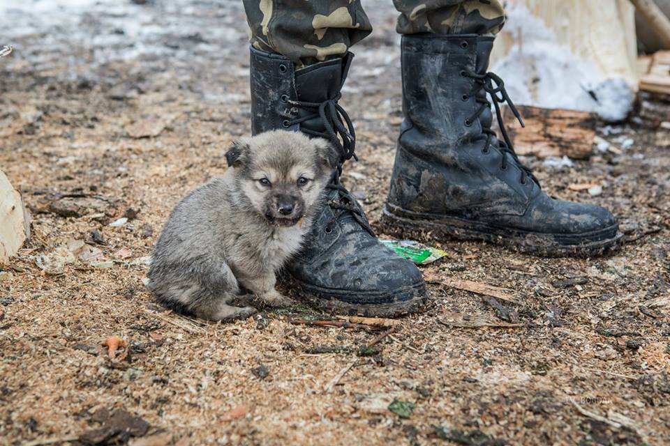 Пожар в многоэтажке Днепропетровщины: 4 человека погибли, 2 госпитализированы - Цензор.НЕТ 1723