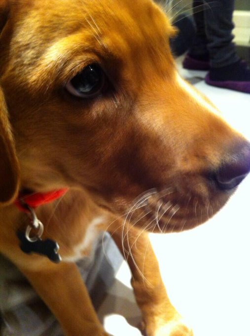 When she was just a babyyyy 😍 http://t.co/mlmrdyn9Cu<a href="/tag/kurwa"class="tags"><span>#kurwa</span></a>