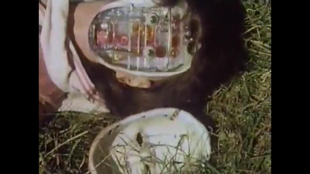 Stamgator's tweet image. Sarah's face breaks in half. #TheAndroidInvasion #DrWho