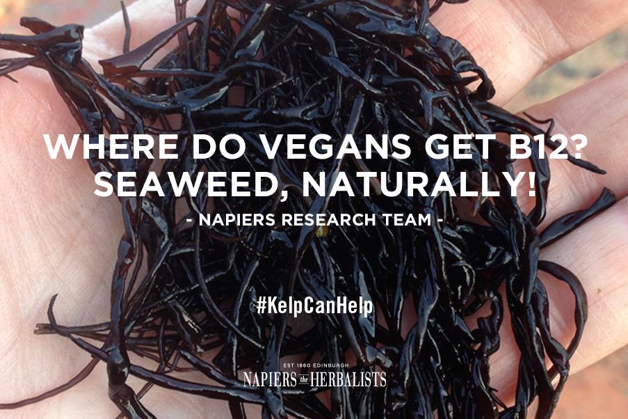 Napiers1860's tweet photo. If you don't eat much meat, where do you get your vitamin B12? #Seaweed #KelpCanHelp #vegan https://t.co/qTws6sa8QT http://t.co/lAxUvM5QY7