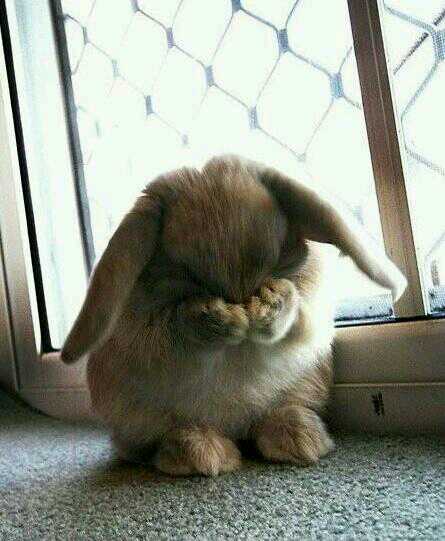 Feelingslifes's tweet photo. when you realize school starts again tomorrow 😭 http://t.co/tNIfnOUK1Y