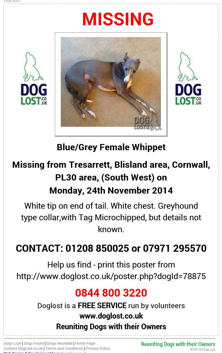 FindTopesy's tweet image. @TheDogsRoom Please Click &amp;amp; SUPPORT #FindTopesy #stolen #whippet need her home thunderclap.it/projects/21233… … thanks