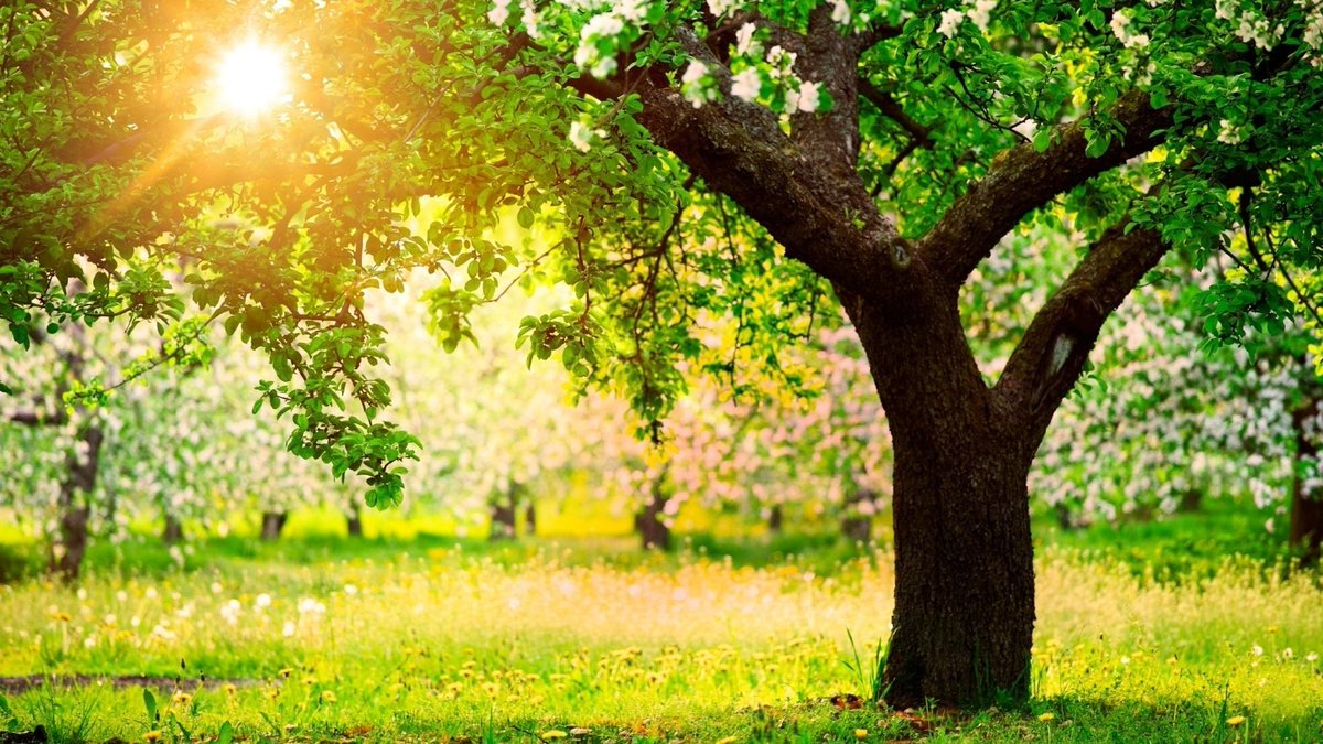 PolytechAbroad's tweet photo. #spring C'est l'occasion de sortir ! Prenez des vacances et découvrez les bons plans sorties grâce à Polytech Abroad http://t.co/iqkEN05Uq9