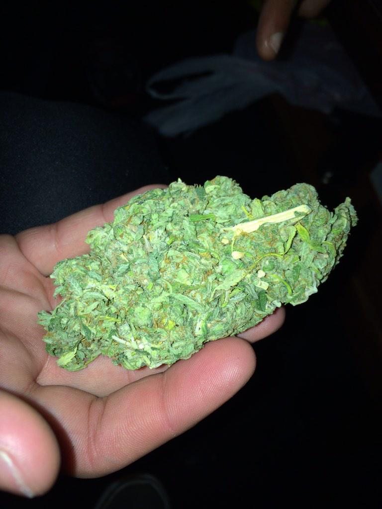 WeedLikeStuff tweet picture