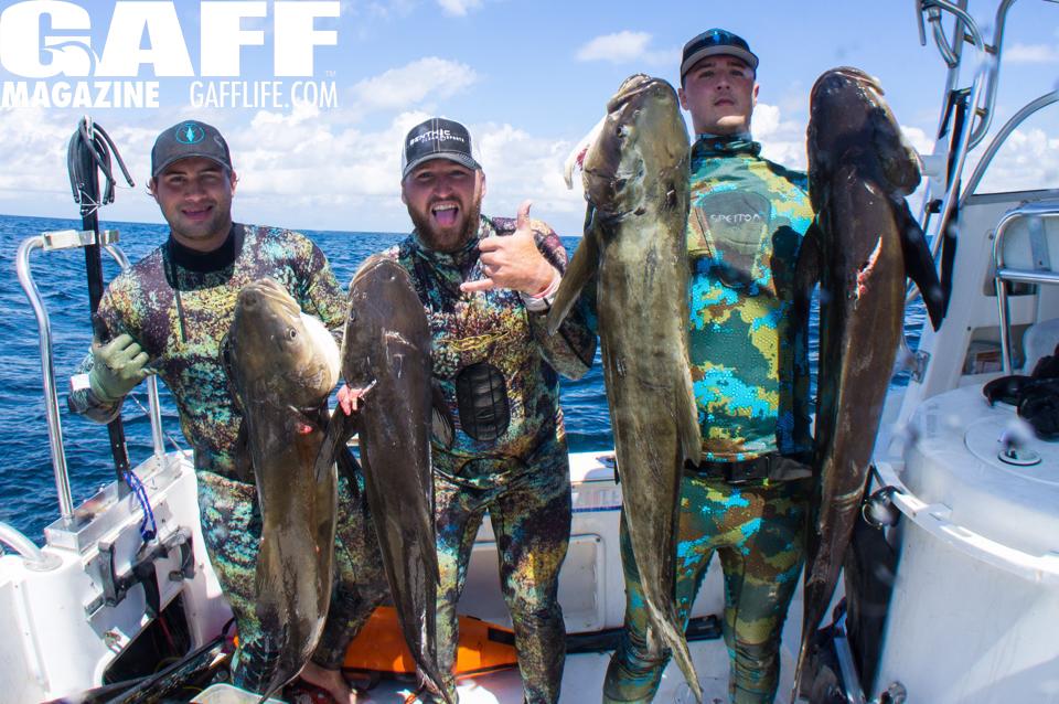 GAFFMagazine's tweet photo. #cobia and #GAFFmagazine...helping you get through Monday #FREEDigitalMagazine Click Here : http://t.co/9WOvj2vJlV http://t.co/kueS87x8XC