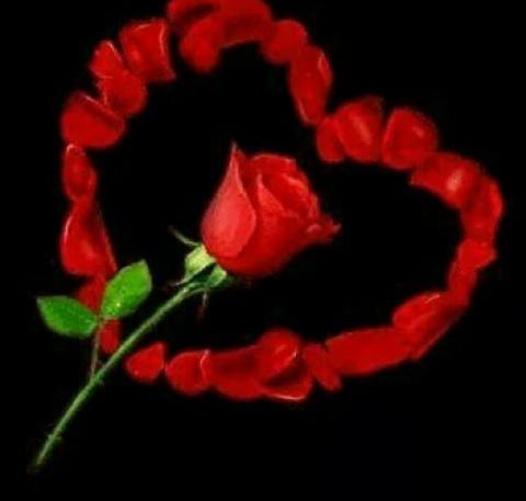 705Sofiya's tweet photo. @reehalanugeet @ChhaviSpeaks @ushashukla2 @jaggirm @silky_sm @sehar_sania @Urvi_G @0813Gitu @Indu14gupta http://t.co/k8YRTGLAjw