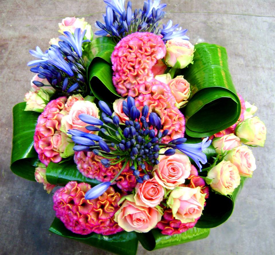 Floimpex's tweet image. 