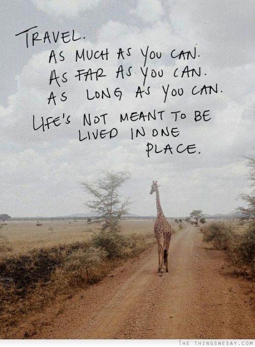 MbareArt's tweet photo. Travel with your body, travel with your dreams and travel with your heart. #Africa #AfricanArt #travel #Mbare http://t.co/ojJPXUouaI