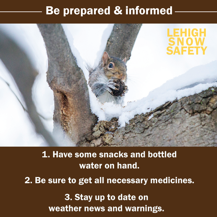 Lehigh Squirrel tweet media