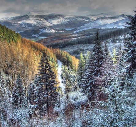 keswickcanoe's tweet photo. We're so lucky to be able to run our bushcraft sessions from here @FCWhinlatter . What do you think? http://t.co/5USIyIgFBs