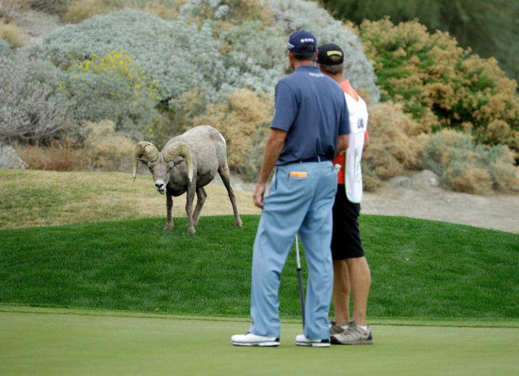 Today in the #MondayFinish: The week's best stats, videos and photos of this guy: pgat.us/6019IzL9