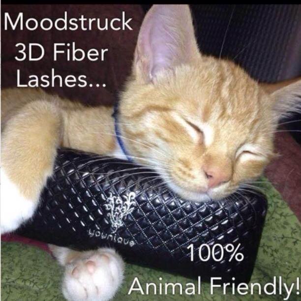 Order now amazing results you will get #younique #3Dfiberlashmascara#makeup #MakeupMonday#makeuptip