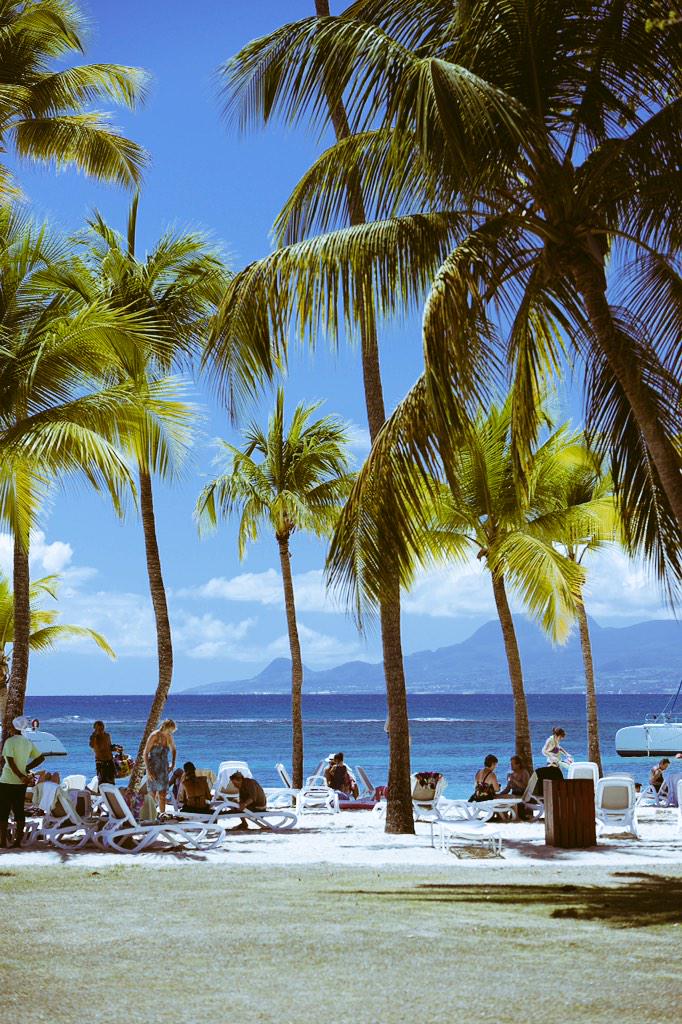 visitGuadeloupe's tweet photo. We won't tell you what the weather is like... We prefer you judge for yourself 🌞 #visitguadeloupe #LaCaravelle http://t.co/fw2YXkuoSw