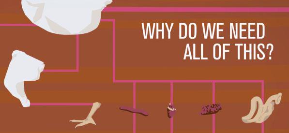 PaulHShapiro's tweet photo. Will cultured meat spare animals from factory farms &amp; slaughter? @NewHarvest video says yes: http://t.co/h0Curw4cXG http://t.co/lleI8jCoGx