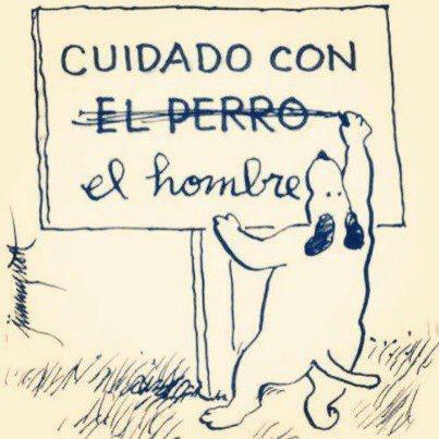 SitPlasPerro's tweet photo. http://t.co/T9mq0Z7daB