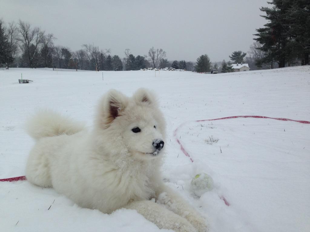 #6abcSnow Ghost playing in the snow!