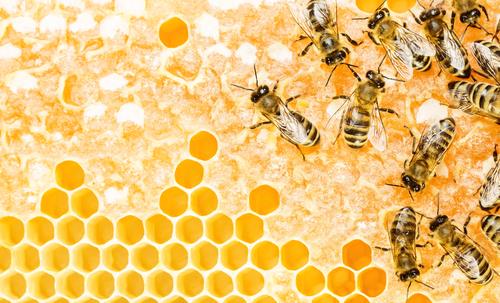 3 prédictions sur l’avenir de l'économie collaborative sforce.co/1thRA8O