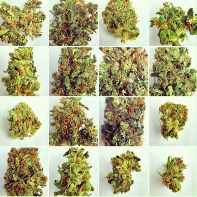 lmNotEvenHigh's tweet photo. what a medicine cabinet should look like http://t.co/gVnLceqeUS