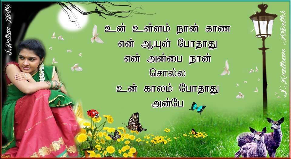 S.rathan Jaffna (@jaffnas) on Twitter photo 
