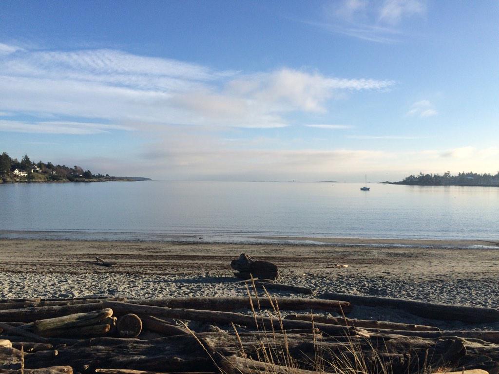 OlverLC's tweet image. Here comes the sun ☀️ #sunnyday #bringyourownsunshine #caddybay