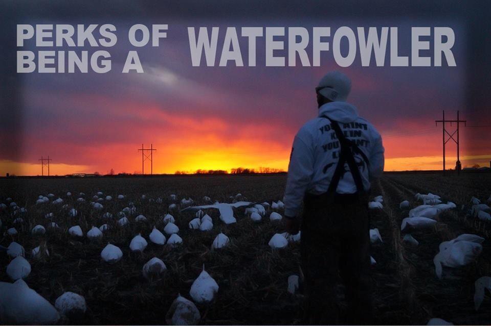 SDG_Calls tweet picture