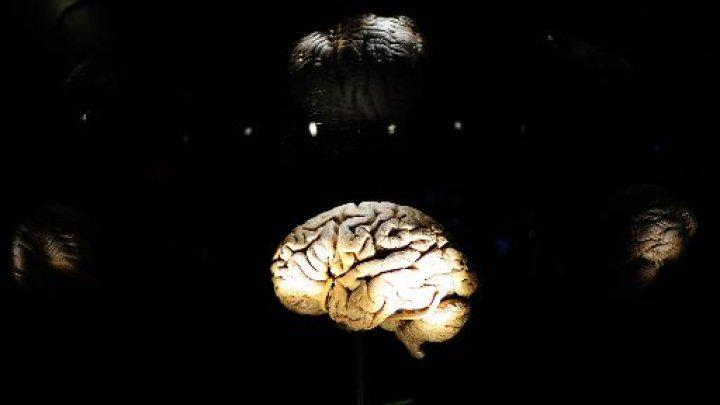 Planning may start in brain's amygdala f24.my/1JS75qq