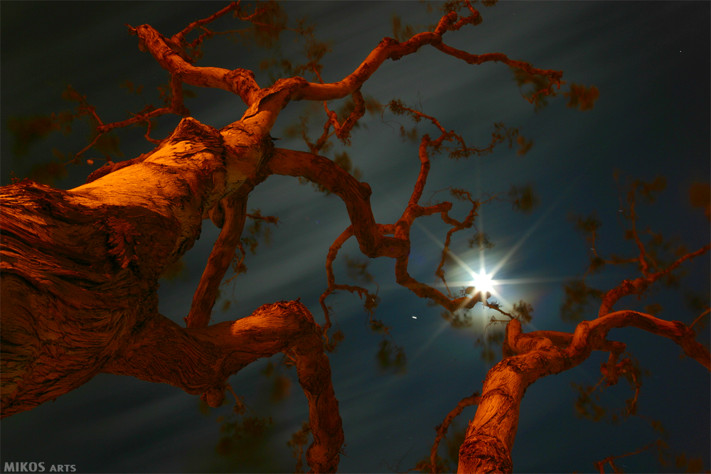 Night Skies series #photography #art #photo #california #pictures #followart #lagunabeach  #landscapes #artwit #mikos