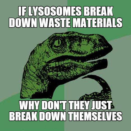 only_mighty's tweet photo. fo real do #ahsoic15 http://t.co/Ao7RBMlcpG